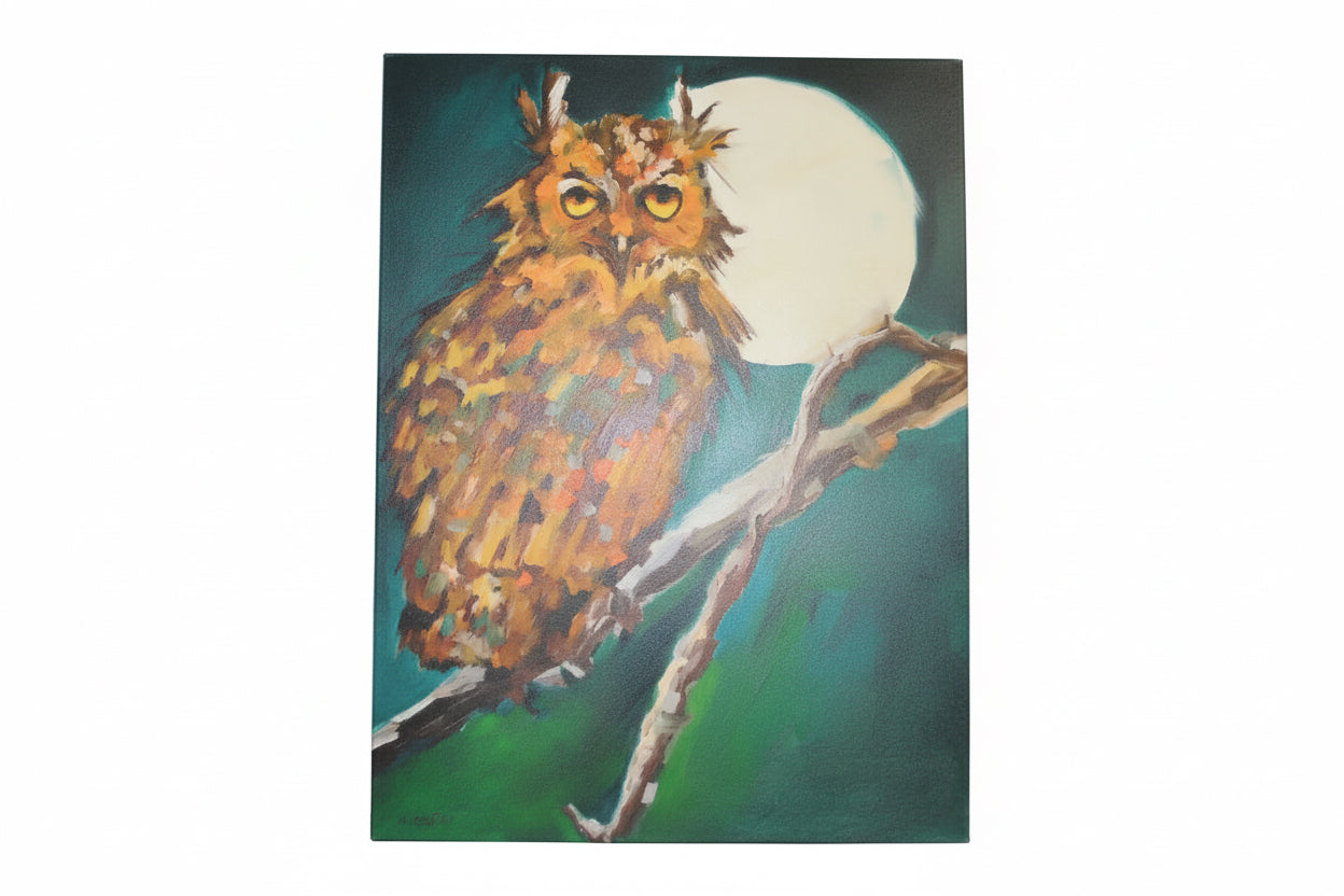 Owl And The Moon wall art