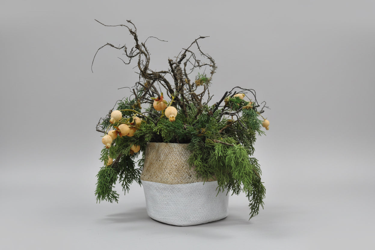 White Tan Cement Pot Floral