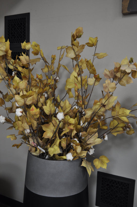 Floral Harvested Cotton Plant