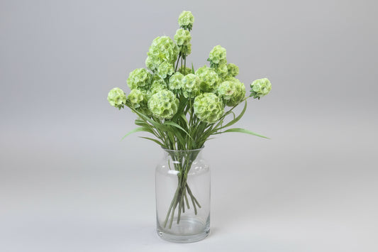 Green Persian Buttercup Floral Bundle