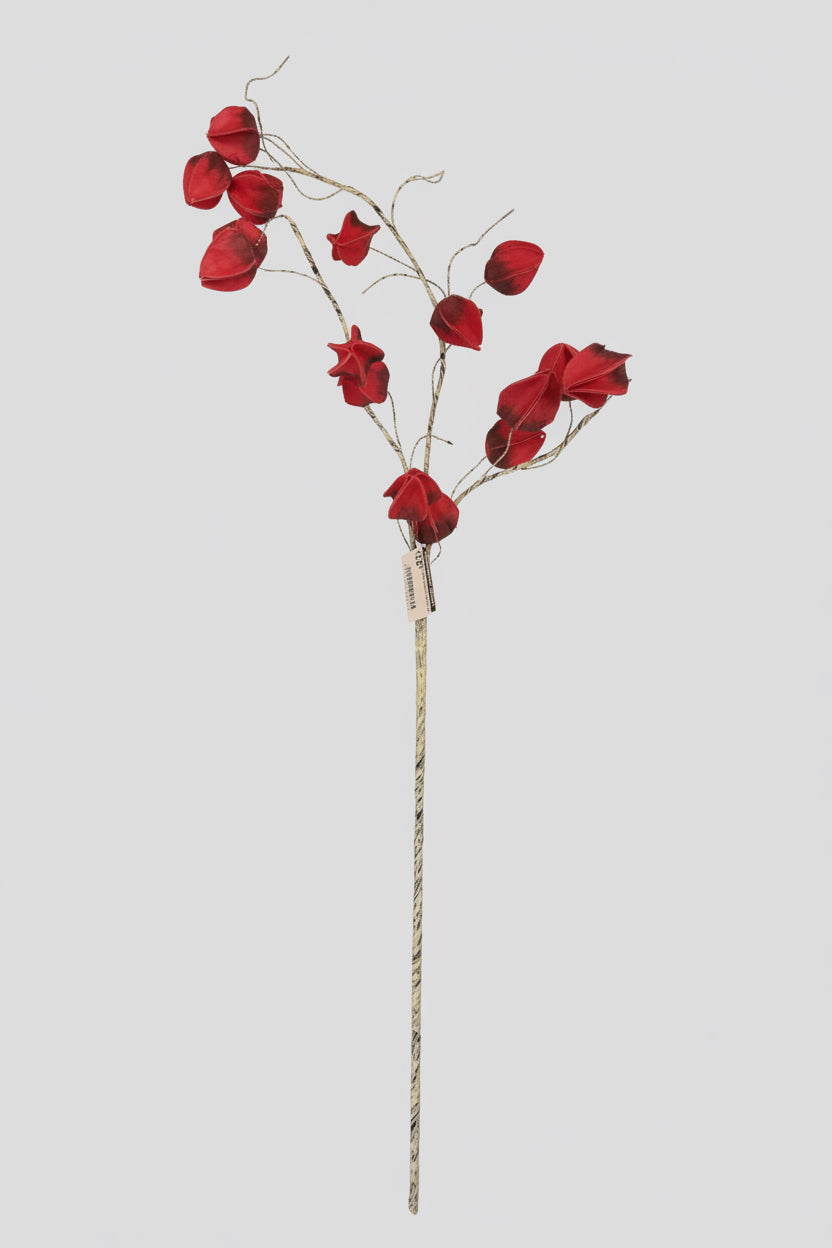 Single Stem Red Pods Floral