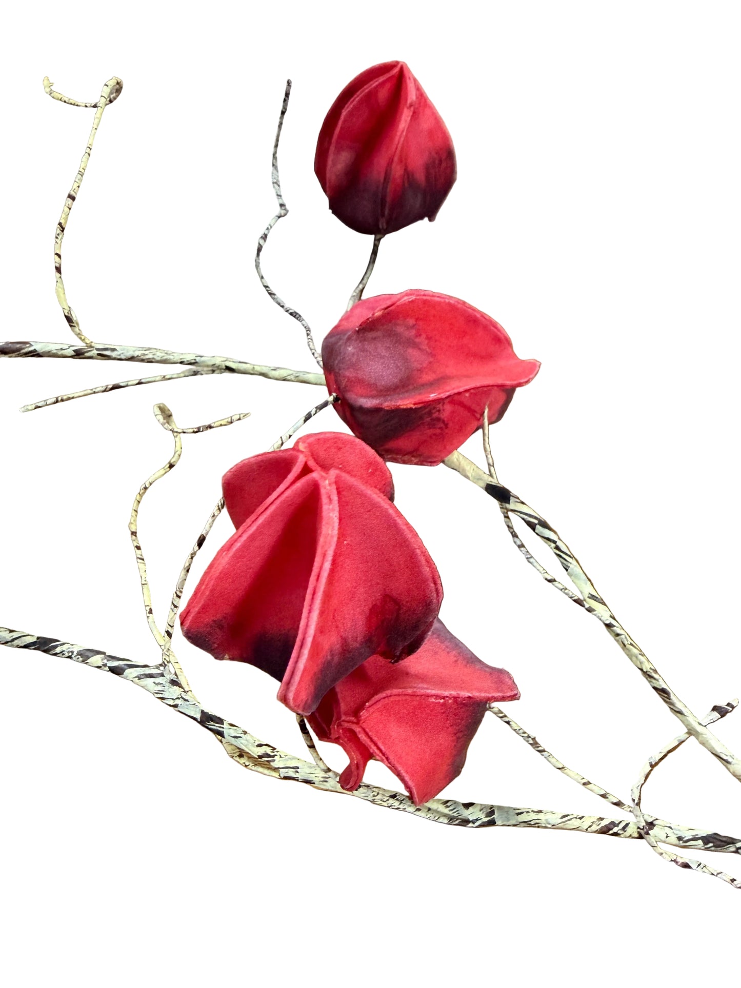 Single Stem Red Pods Floral